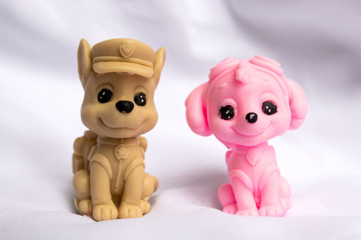 Dzielny Piesek Chase