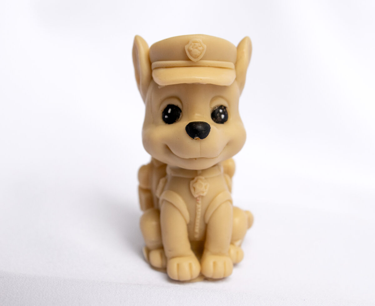 Dzielny Piesek Chase