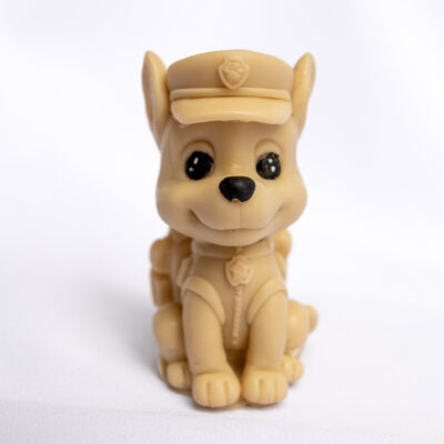 Dzielny Piesek Chase