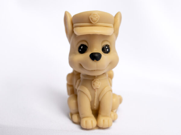 Dzielny Piesek Chase