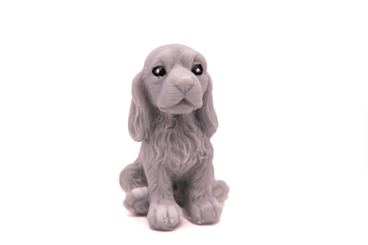 Pies Spaniel Siedzący