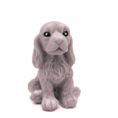 Pies Spaniel Siedzący