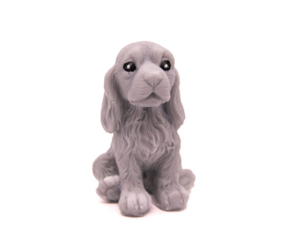 Pies Spaniel Siedzący