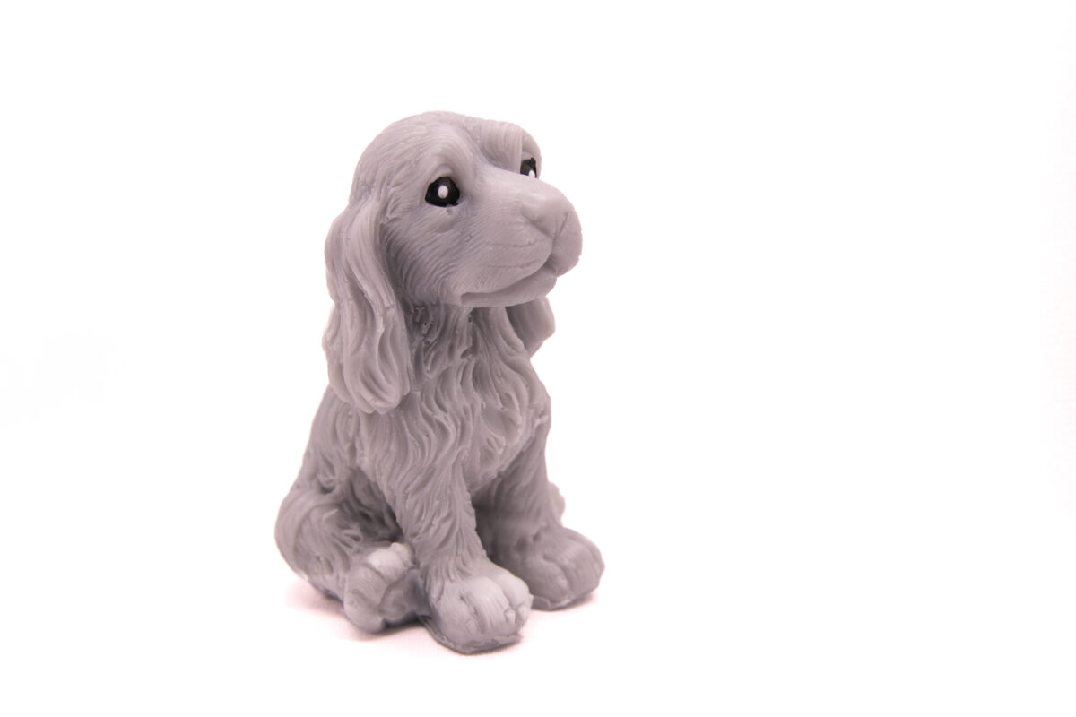 Pies Spaniel Siedzący