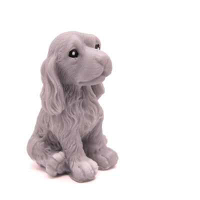 Pies Spaniel Siedzący