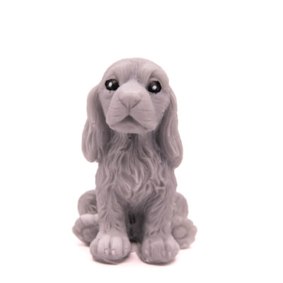 Pies Spaniel Siedzący