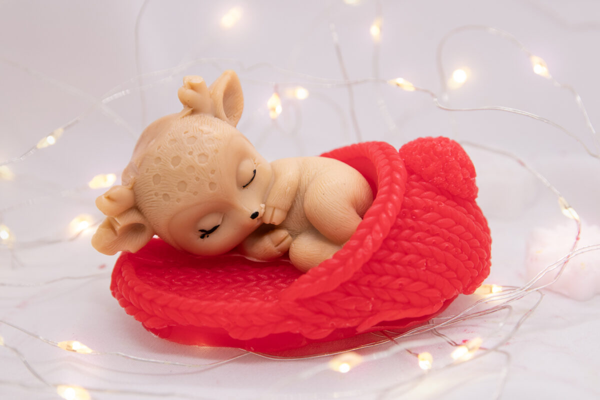 Jelonek Śpioch w Kapciu