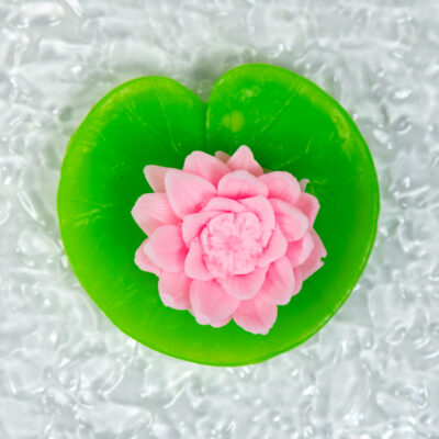 Lilia Wodna Na Liściu