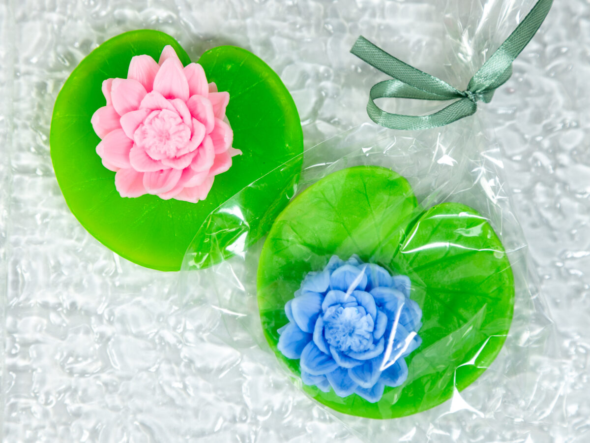 Lilia Wodna Na Liściu