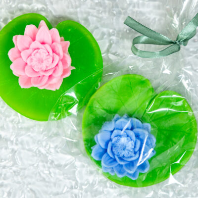 Lilia Wodna Na Liściu