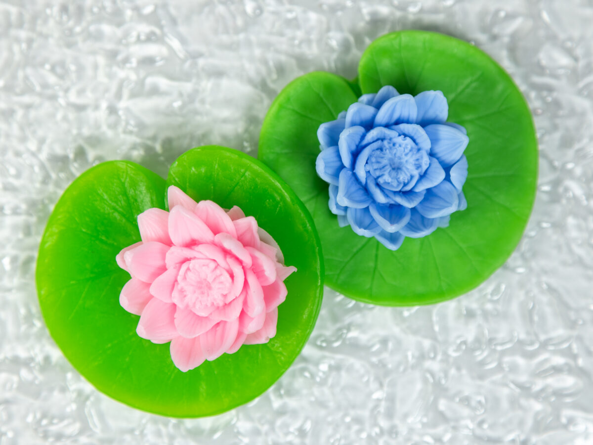 Lilia Wodna Na Liściu