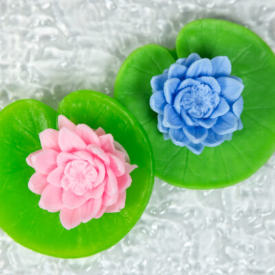 Lilia Wodna Na Liściu