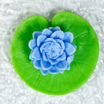 Lilia Wodna Na Liściu