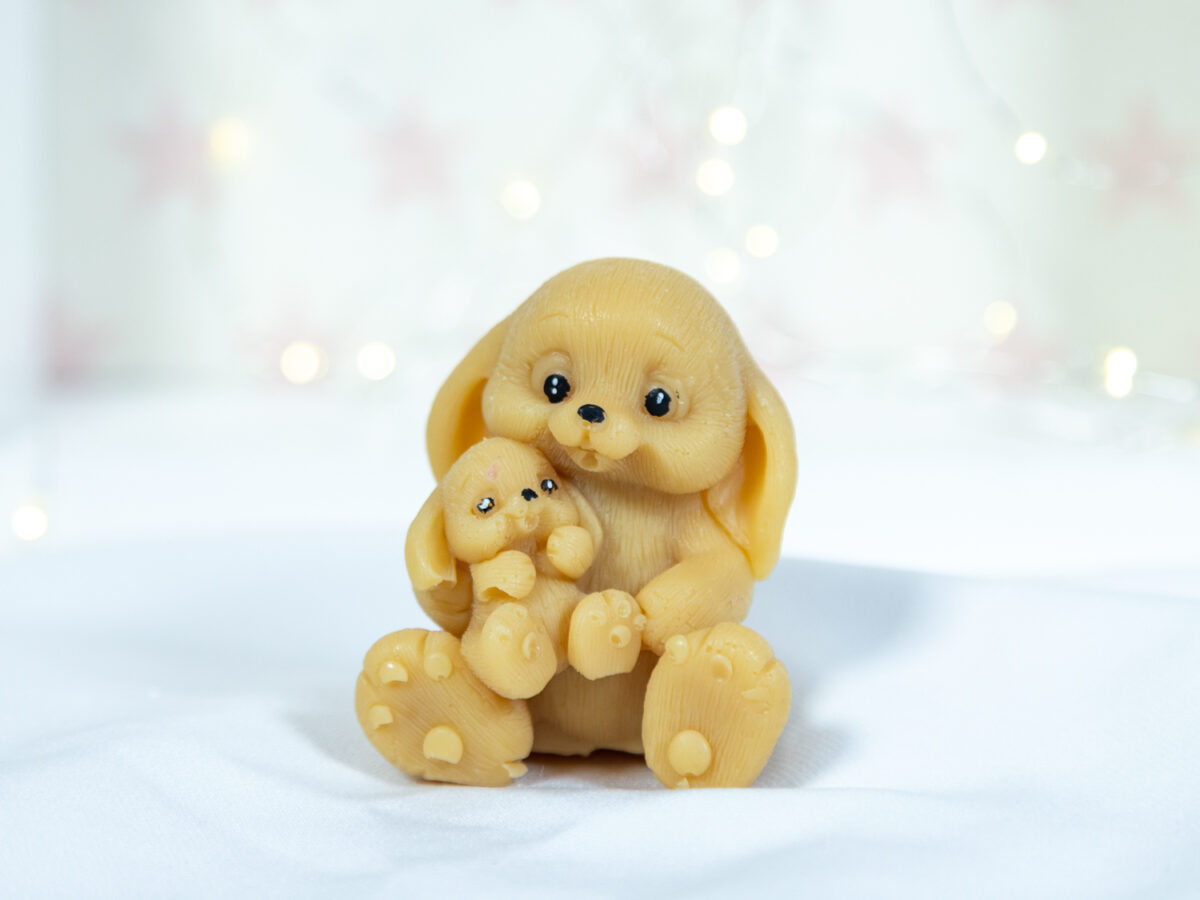 Rodzinne Misie - Królik z Maleństwem