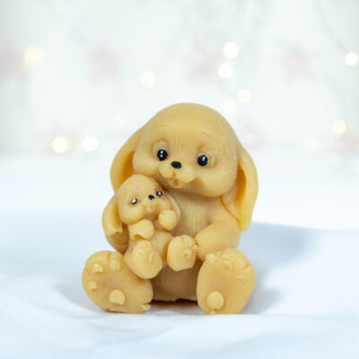 Rodzinne Misie - Królik z Maleństwem