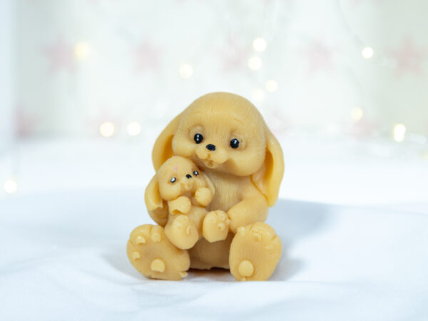 Rodzinne Misie - Królik z Maleństwem