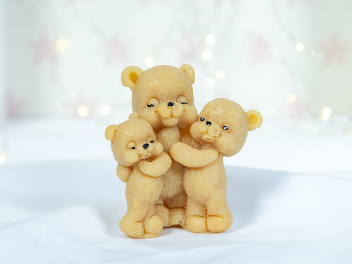 Rodzinne Misie - Dorosły i Bliźniaki