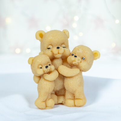 Rodzinne Misie - Dorosły i Bliźniaki