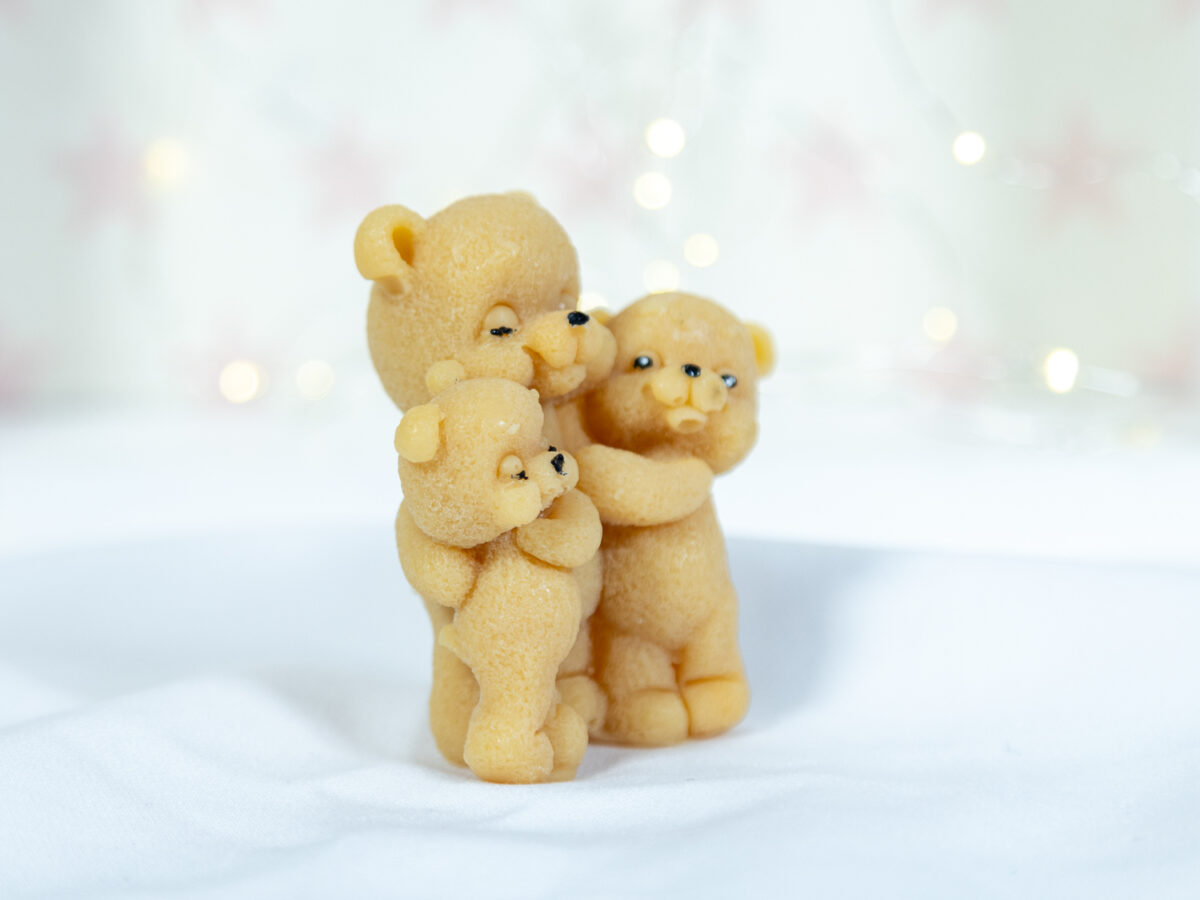 Rodzinne Misie - Dorosły i Bliźniaki