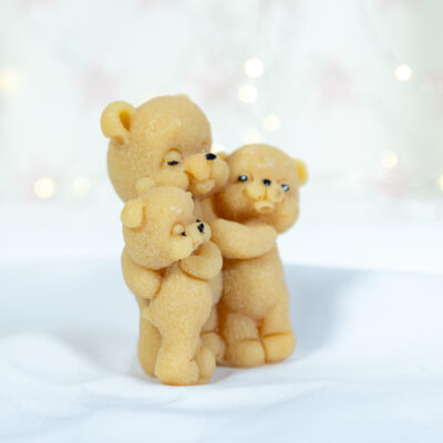 Rodzinne Misie - Dorosły i Bliźniaki