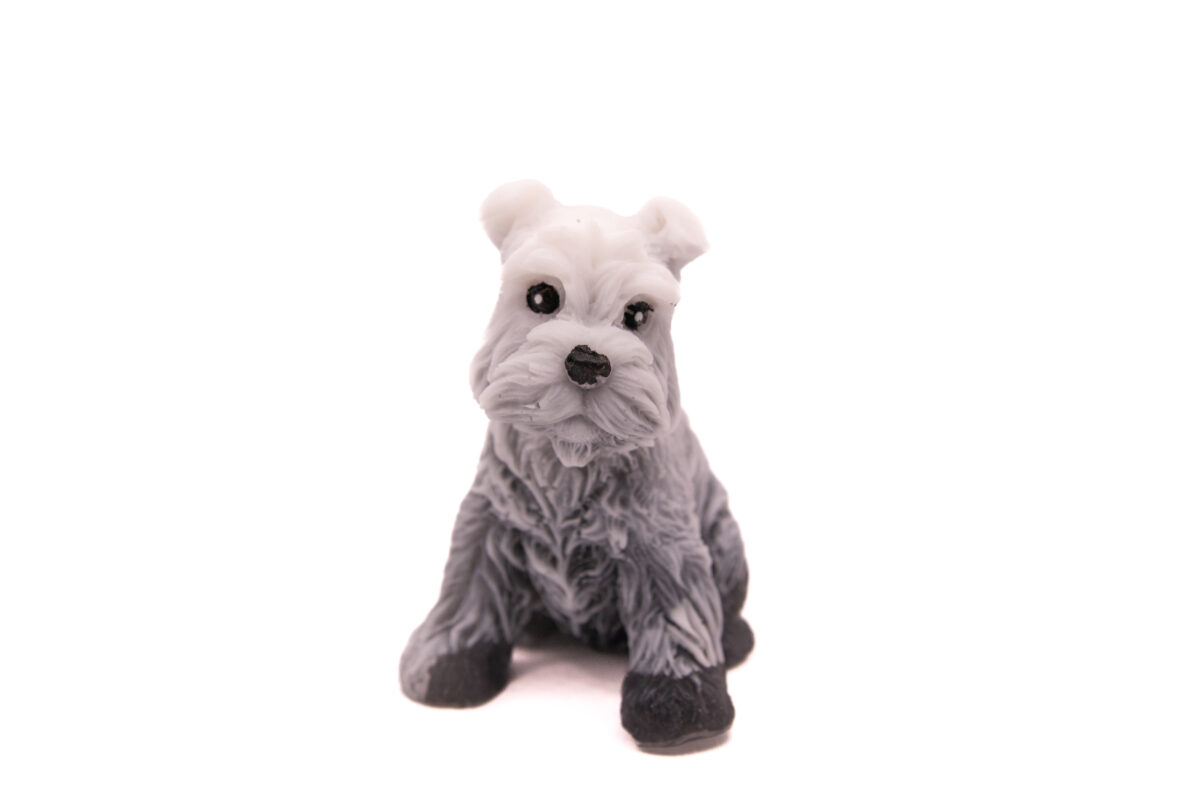 Mydlany Pies Sznaucer