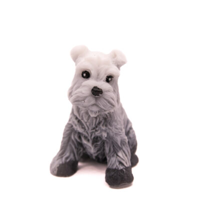 Mydlany Pies Sznaucer