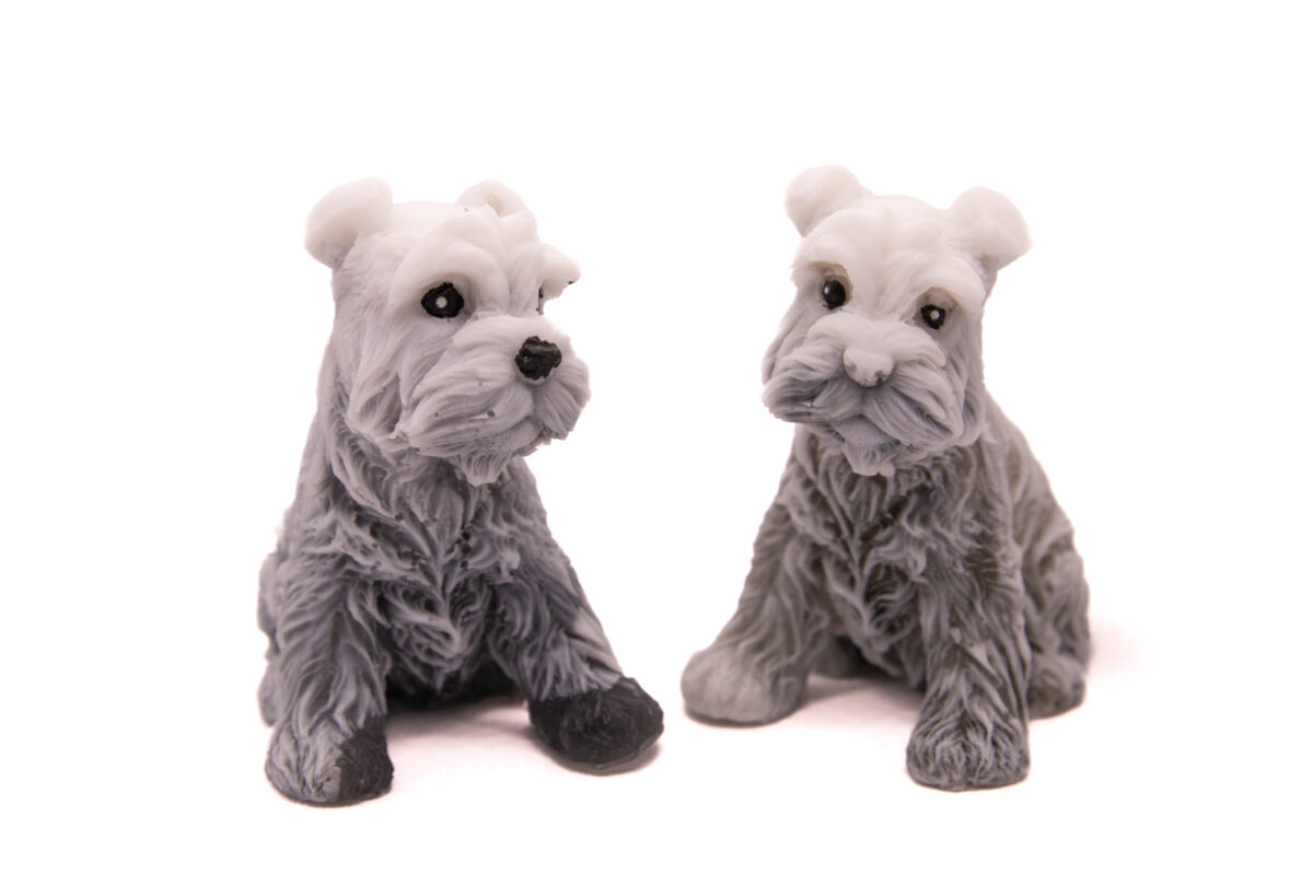 Mydlany Pies Sznaucer