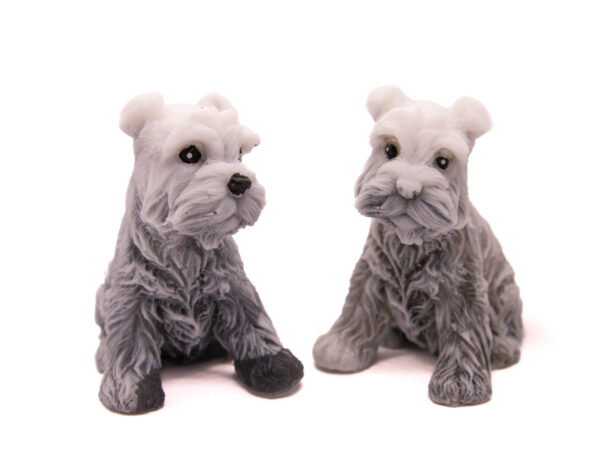 Mydlany Pies Sznaucer