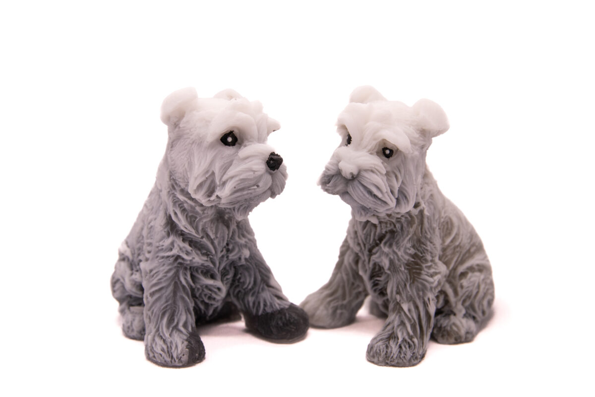 Mydlany Pies Sznaucer