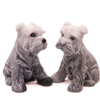 Mydlany Pies Sznaucer