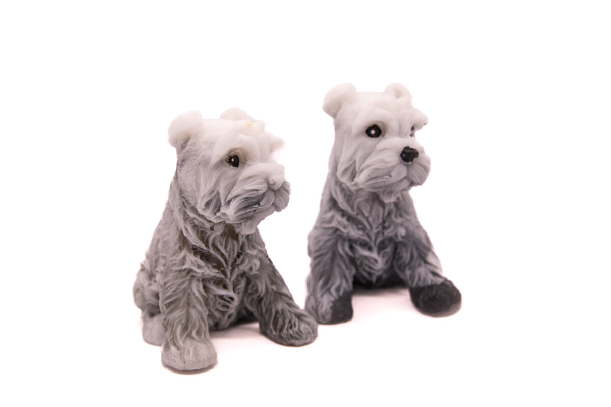 Mydlany Pies Sznaucer