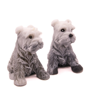 Mydlany Pies Sznaucer