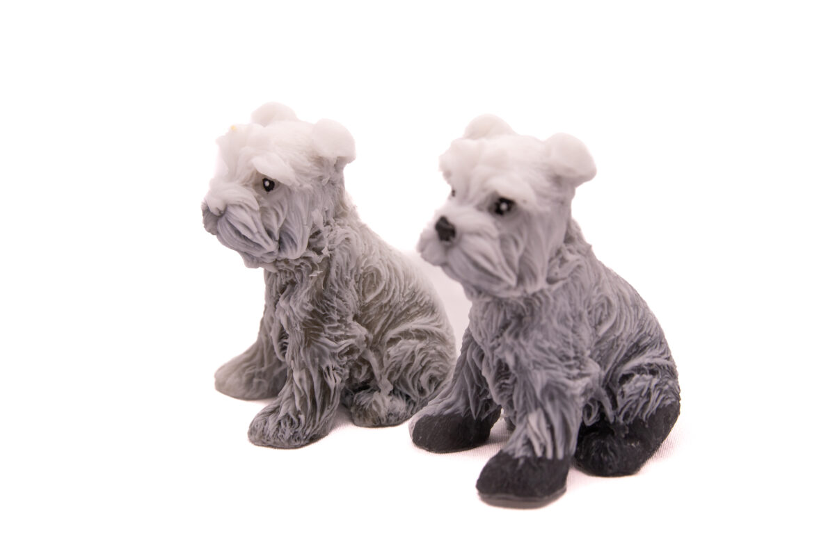 Mydlany Pies Sznaucer