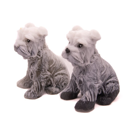 Mydlany Pies Sznaucer