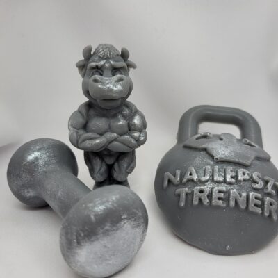 Najlepszy Trener Hantla