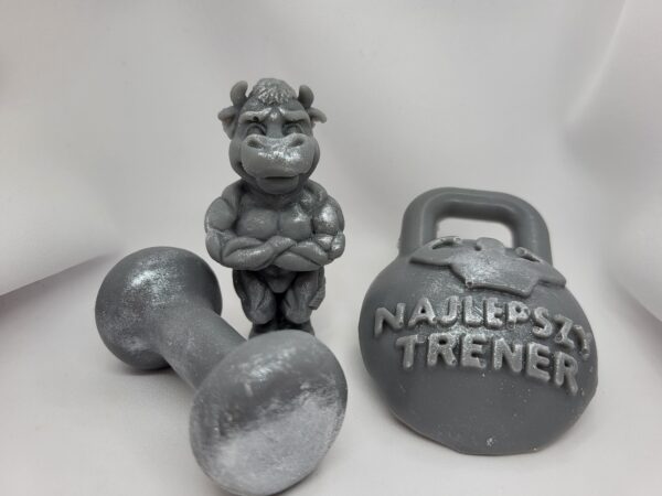 Najlepszy Trener Hantla