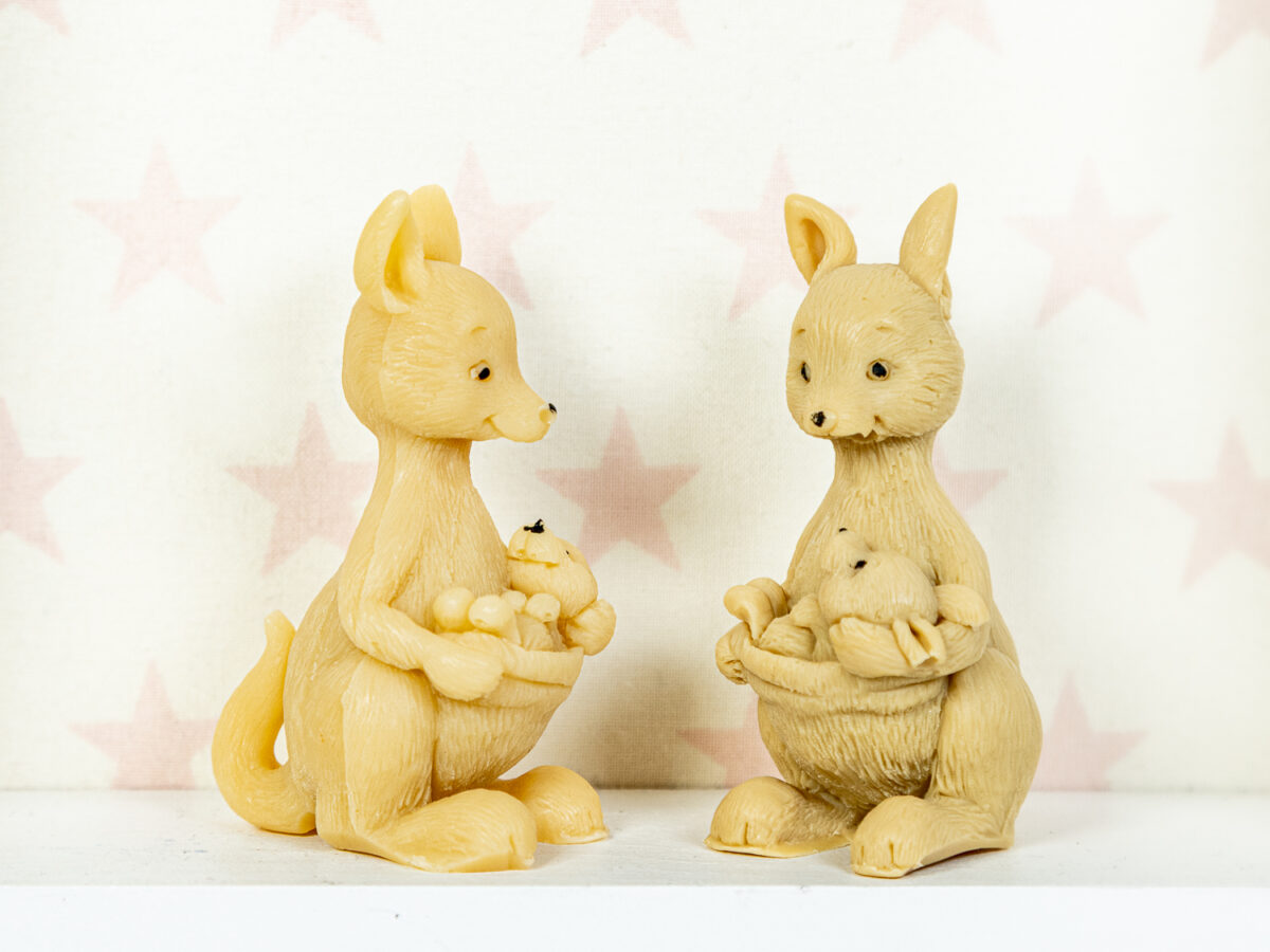 Kangur z Maleństwem