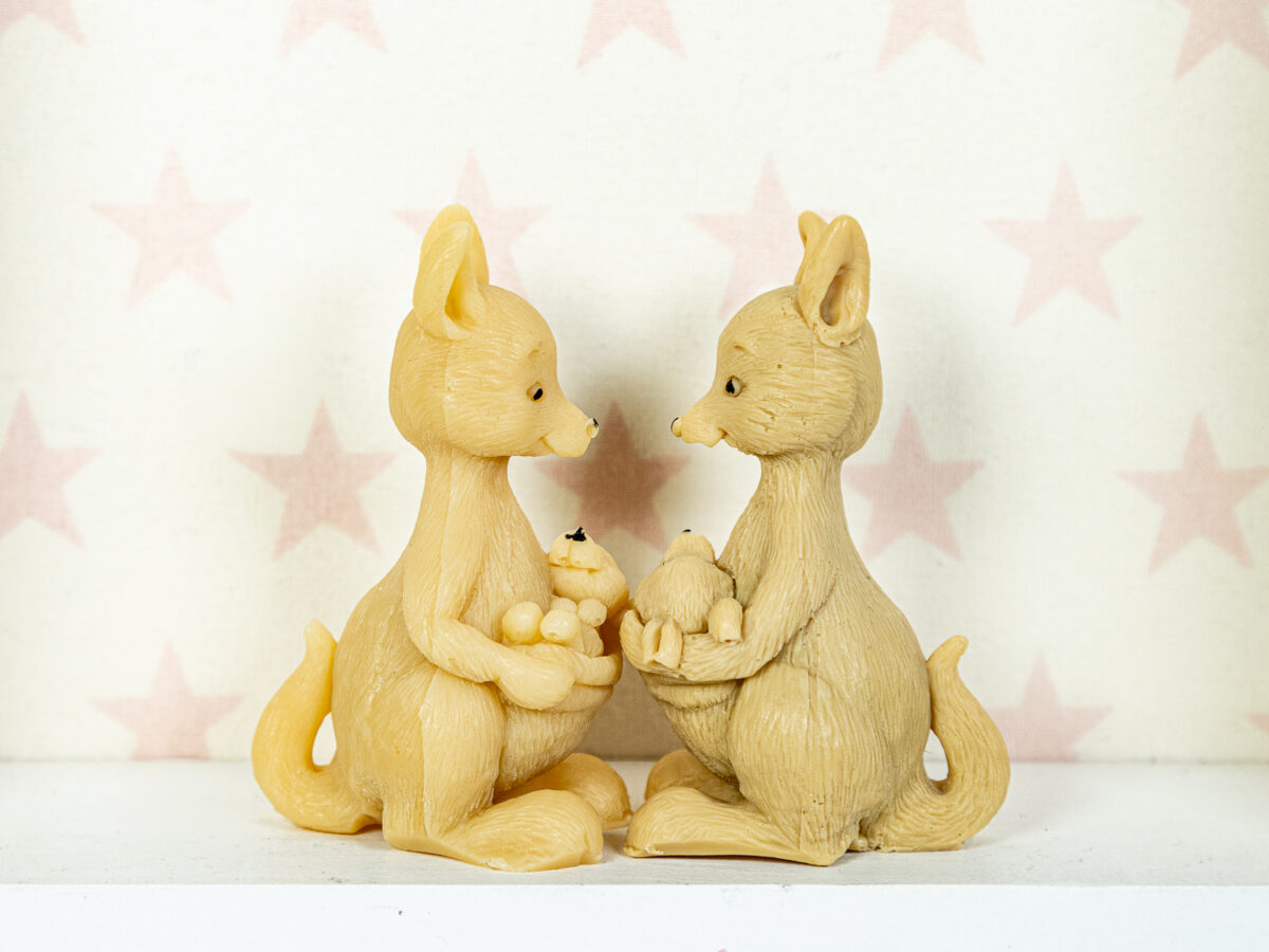 Kangur z Maleństwem