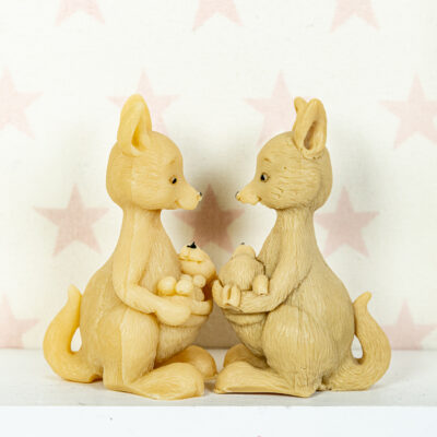 Kangur z Maleństwem