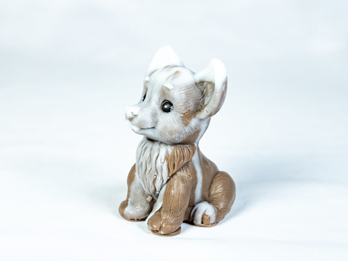 Corgi