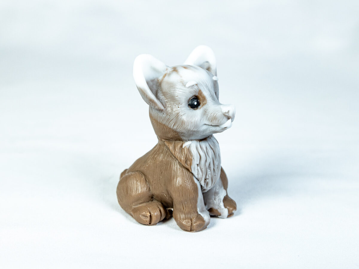 Corgi