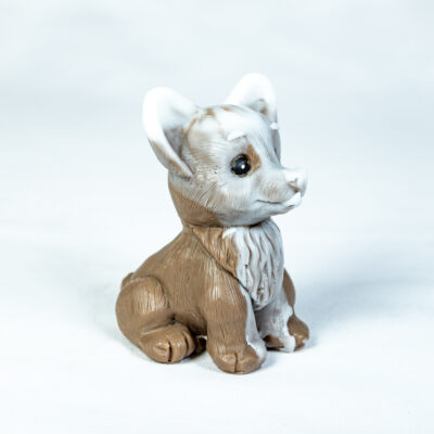 Corgi