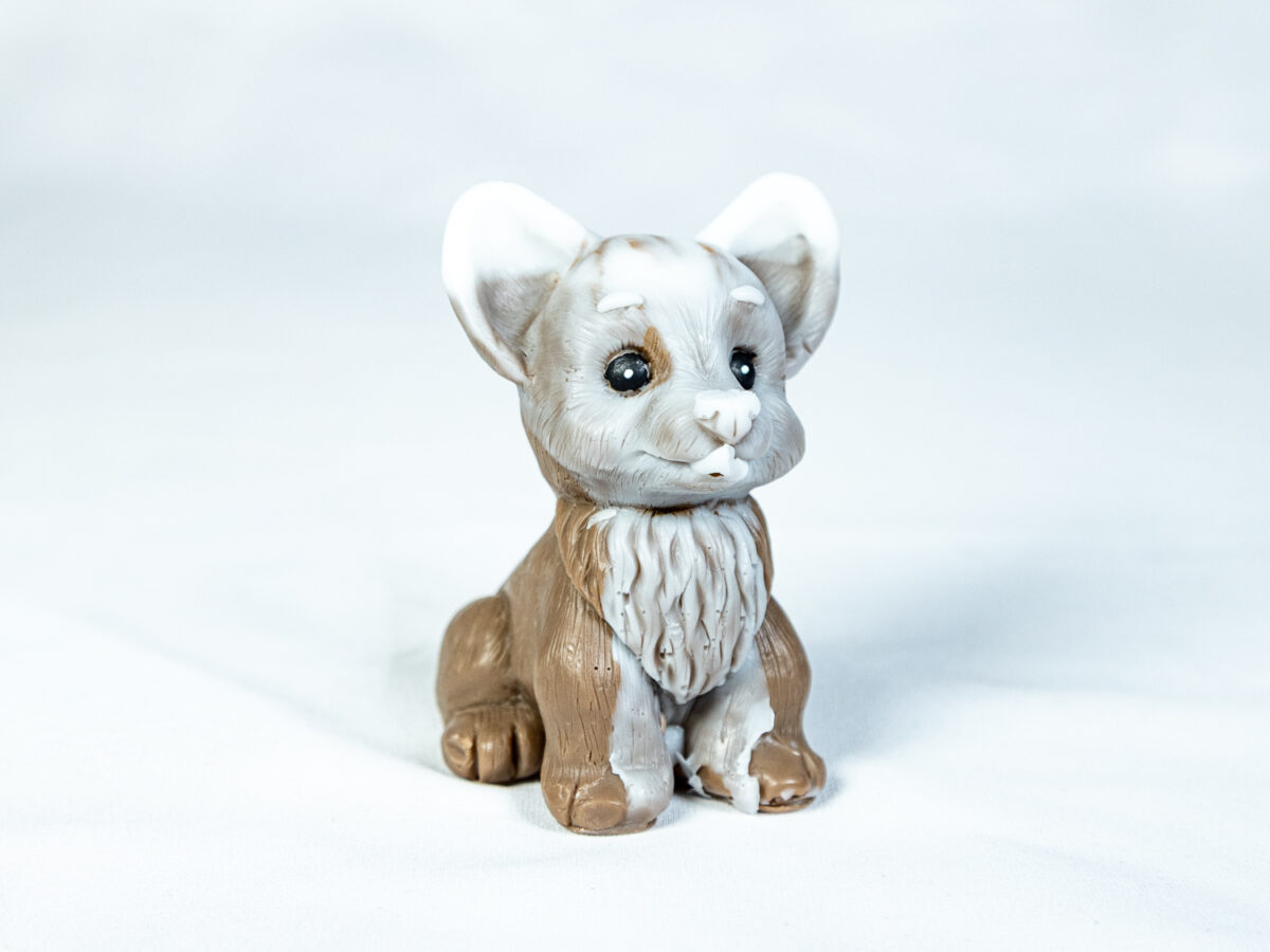 Corgi