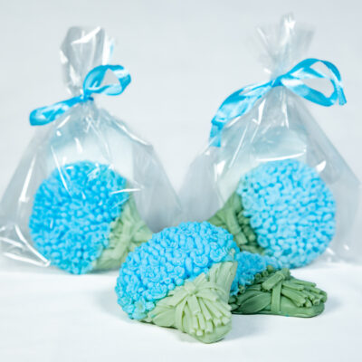 Niezapominajki Bukiecik